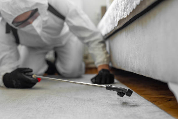 Professional Bed Bug Control technician working in Oakdale, CA